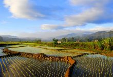 Sungai Kuning (Renah Pemetik) Kerinci Jambi Indonesia