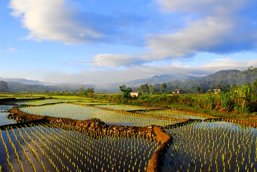 Sungai Kuning (Renah Pemetik) Kerinci Jambi Indonesia