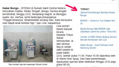 Cara Membuat Artikel Terkait seperti di website