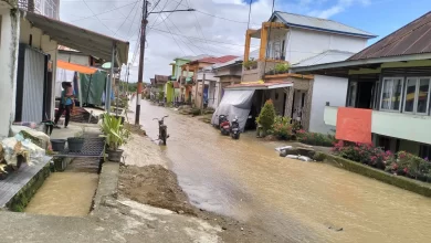 Banjir Genangi Rumah dan Puluhan Hektar Sawah