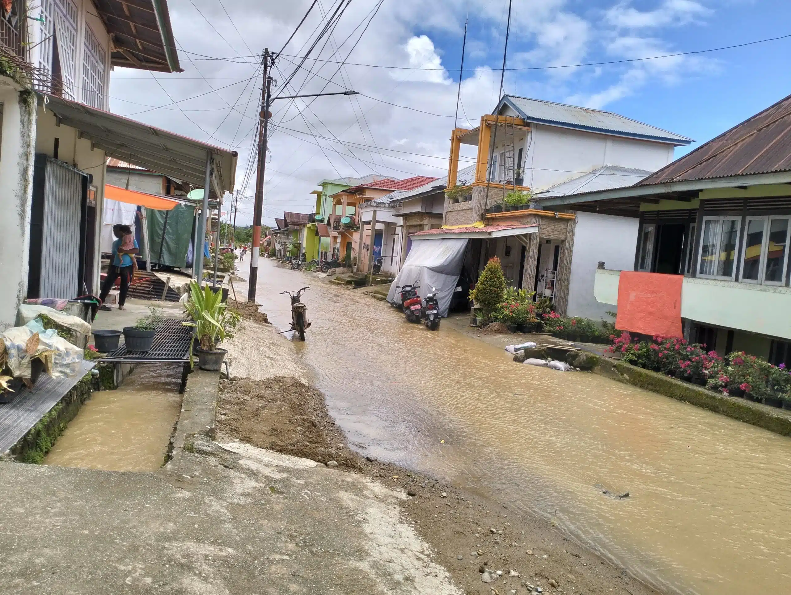 Banjir Genangi Rumah dan Puluhan Hektar Sawah