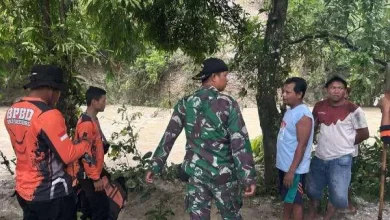 Tim SAR gabungan dari BPBD Bojonegoro, BASARNAS, Polsek Margomulyo, Koramil Margomulyo, SATPOL PP, Pemdes Margomulyo dan Masyarakat masih berupaya melakukan pencarian.