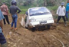 Mobil jenis pic up ini harus ditarik ramai-ramai agar bisa melewati jalan renah pemtik / Foto merdekapost.com