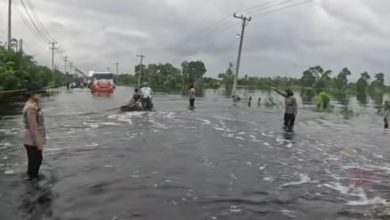 Dua Polwan personel Polres Pelalawan mengatur arus lalu lintas di Jalintim KM 83 yang digenangi banjir.