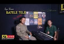 Batele tele – Bobi detrialdi cover